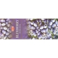 Благовония HEM 6-гр. Blueberry ЧЕРНИКА