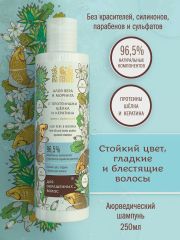 Шампунь АЛОЭ ВЕРА И МОРИНГА с протеинами шёлка и кератина аюрведический 250 мл