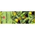 Благовония HEM 6-гр. Bergamot БЕРГАМОТ